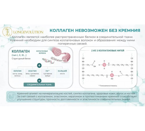 Хондропротектив - нативный коллаген