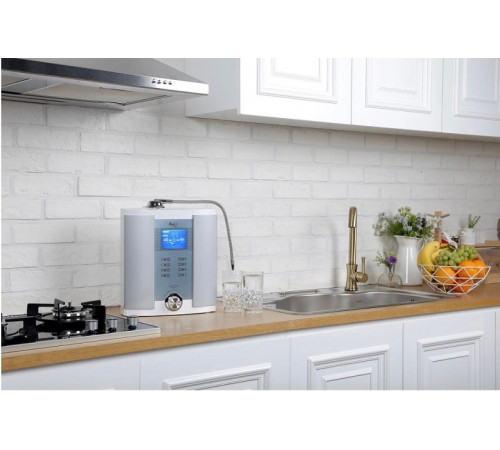 Система подготовки воды BTM-101S