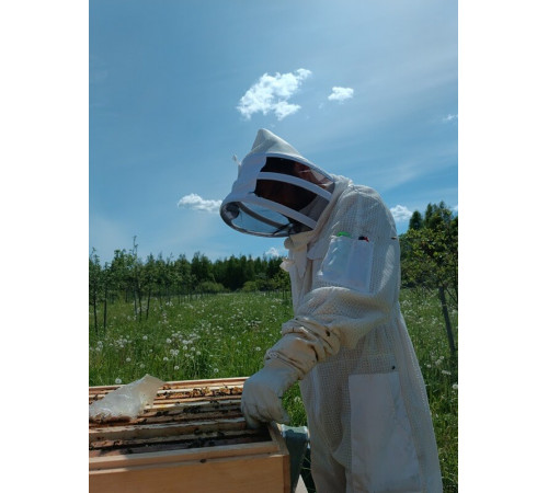 Мёд Луговое разнотравье за весь год