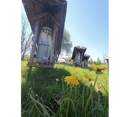 Мёд Луговое разнотравье за весь год