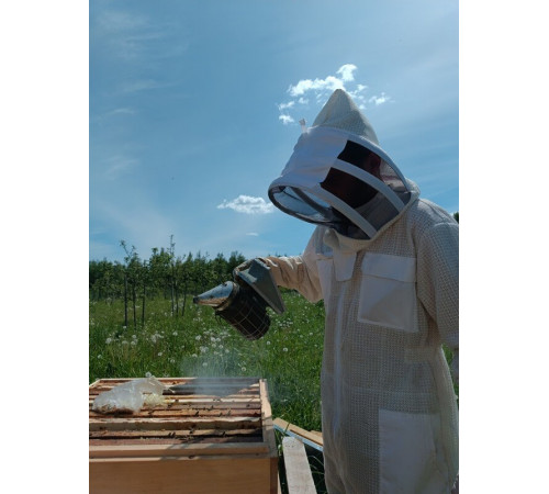 Мёд сотовый - мини рамка