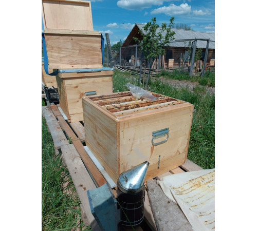 Мёд сотовый (рамка в коробке)