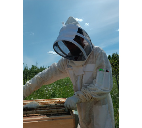 Мёд сотовый (рамка в коробке)